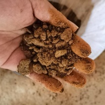 茶籽粉，茶籽饼！