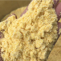 玉米粉次粉饲料级玉米粉