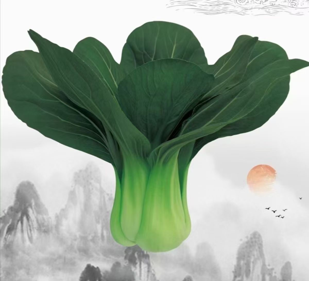 青菜美食摄影图
