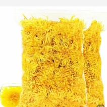 金丝皇菊