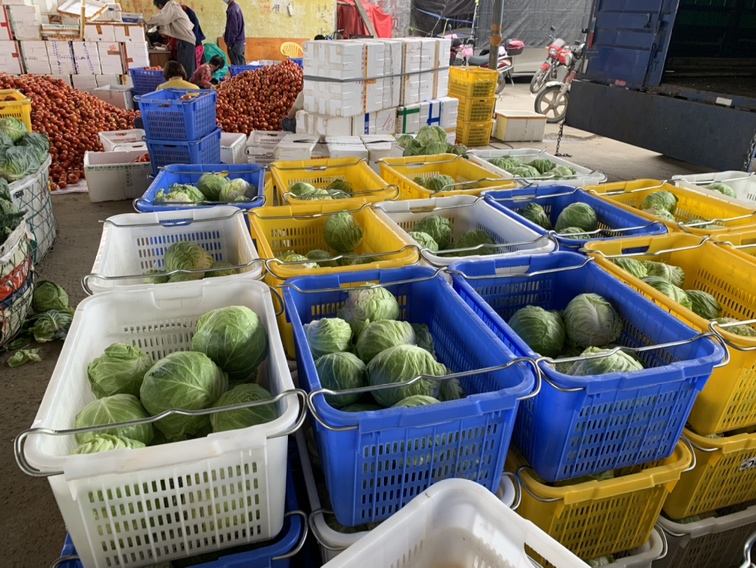 蔬菜市场实景图