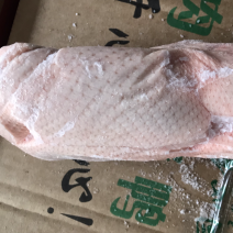 樱桃谷白条鸭，冰鲜速冻白条，冰鲜白条鸭，