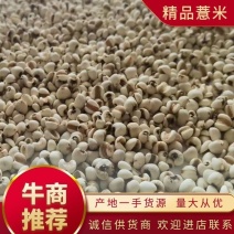 【优质】薏米碎瓣碎薏米批发厂家直发货源充足