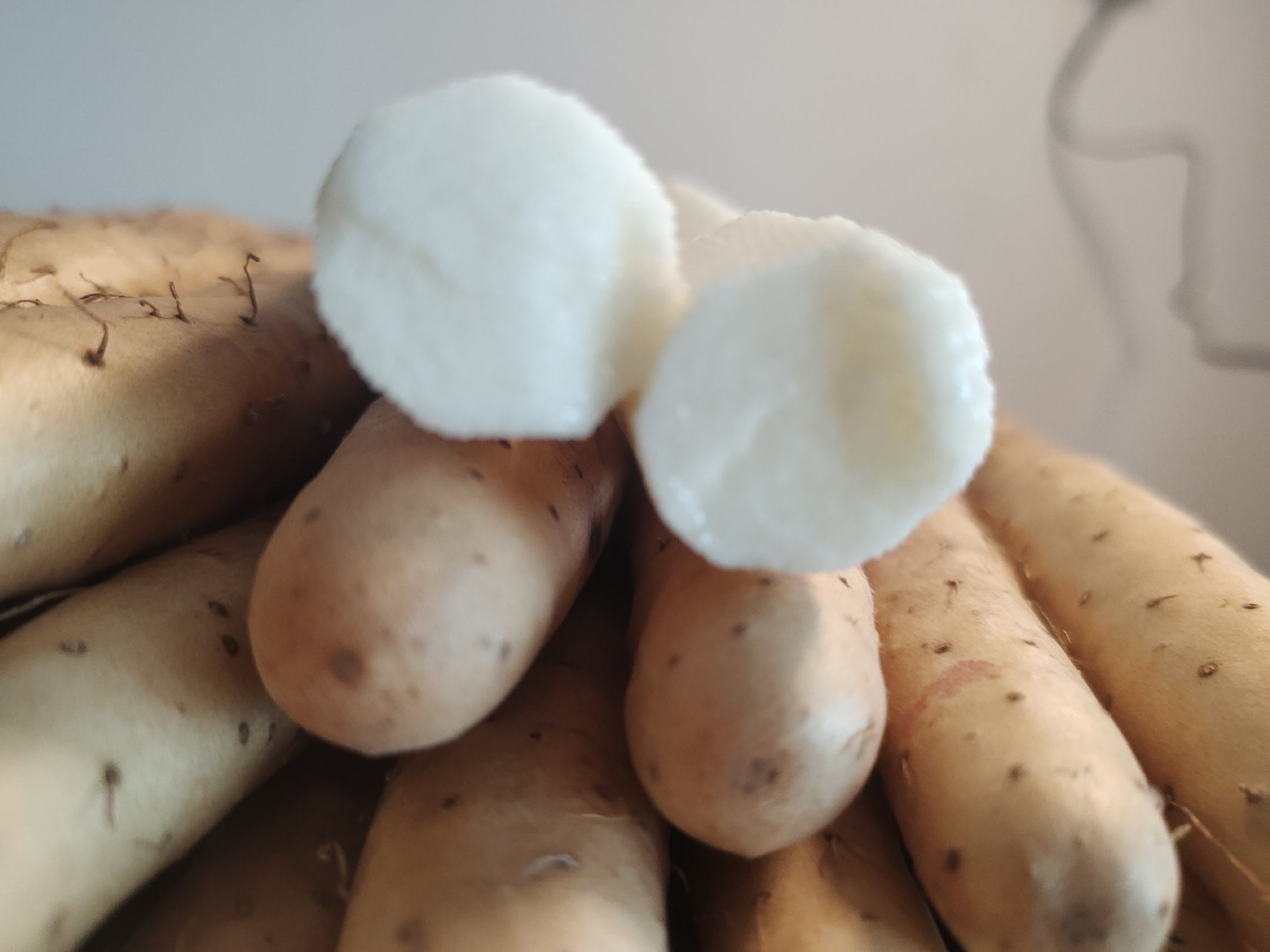 小白嘴白山药特写