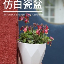 整件批多肉加厚盆透气创意简约绿萝批发种植控根盆栽仿瓷塑料
