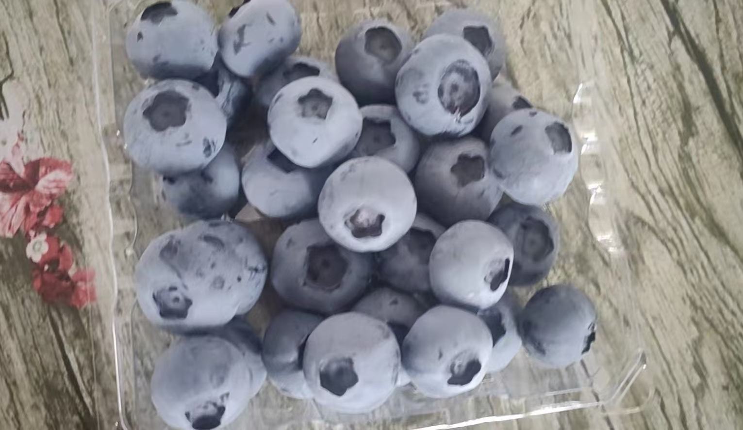 蓝莓表面的果粉特写