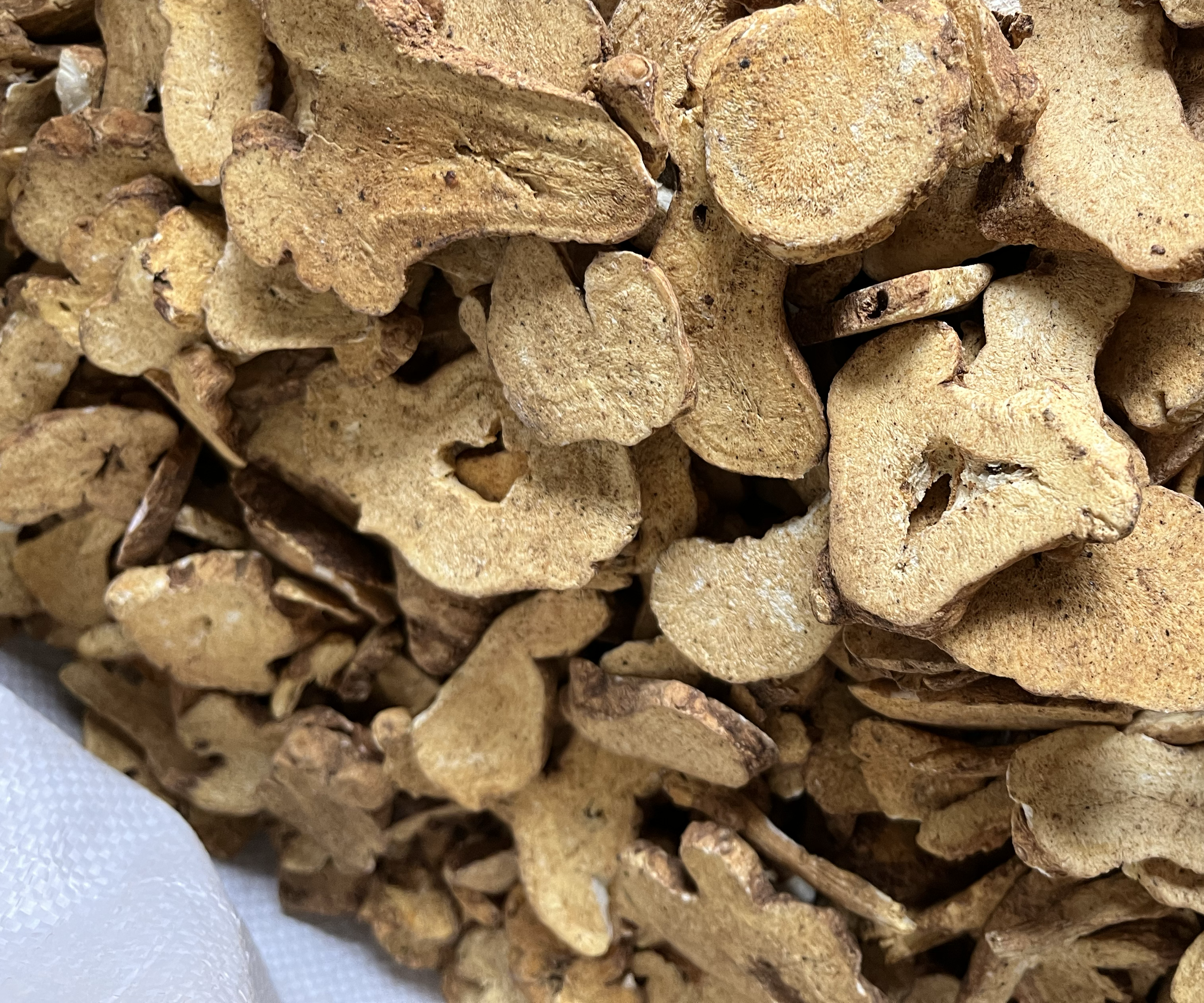 不同炮制程度的白术片对比图