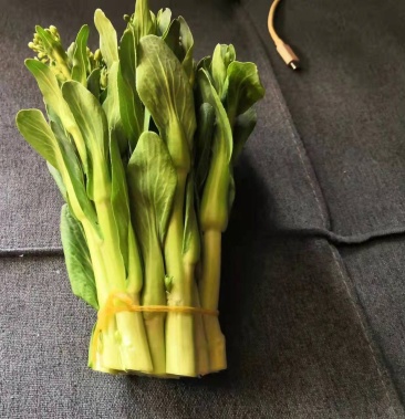 精品上海青苔油菜产地直发全国发货支持电商