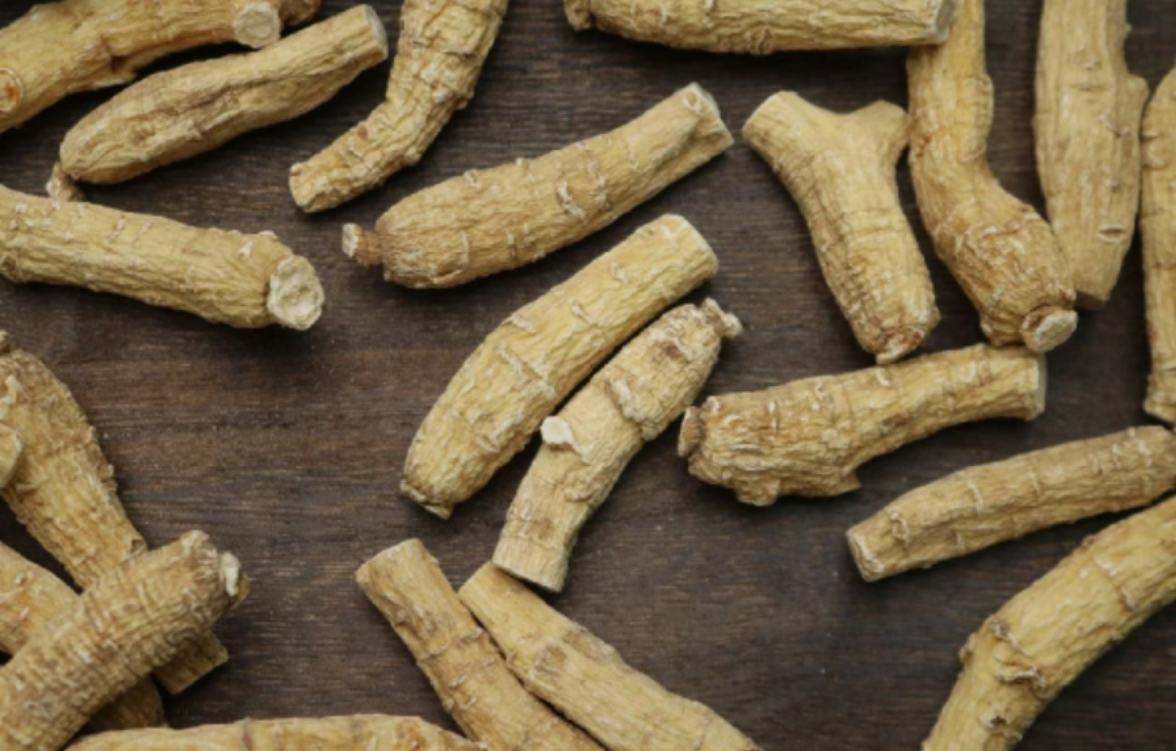 展示3年、4年、5年、6年生西洋参的外观对比,包括根部粗细、须根分布、表皮纹理等细节,背景为自然木质托盘,旁边配有标尺以显示尺寸差异 西洋参不同参龄对比图