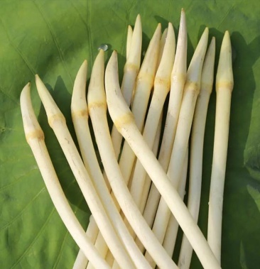 [藕带批发]藕带价格48.00元/斤 - 一亩田