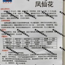 凤仙花种子指甲花种子花色多样露地阳台庭院盆栽多年生四季