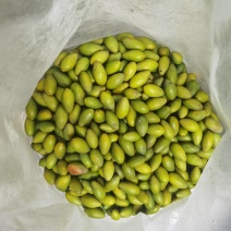 福建闽清闽江河畔青橄榄2号支持到场验货量大优惠