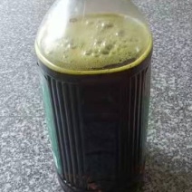 无添加菜籽油