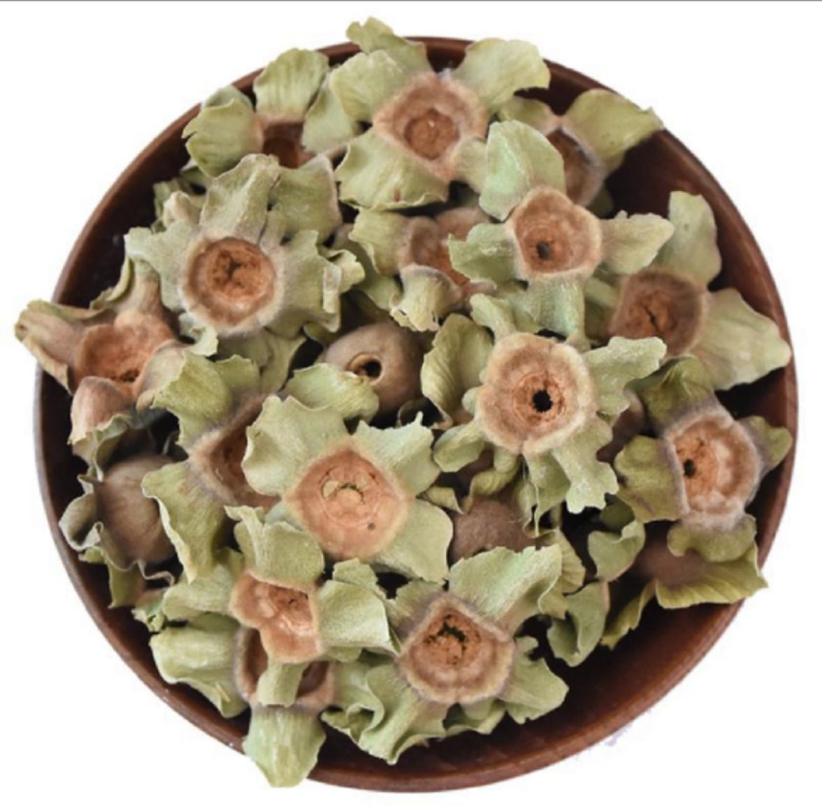 展示西洋参和花旗参实物图,标注两者为同一植物 西洋参与花旗参的对比图