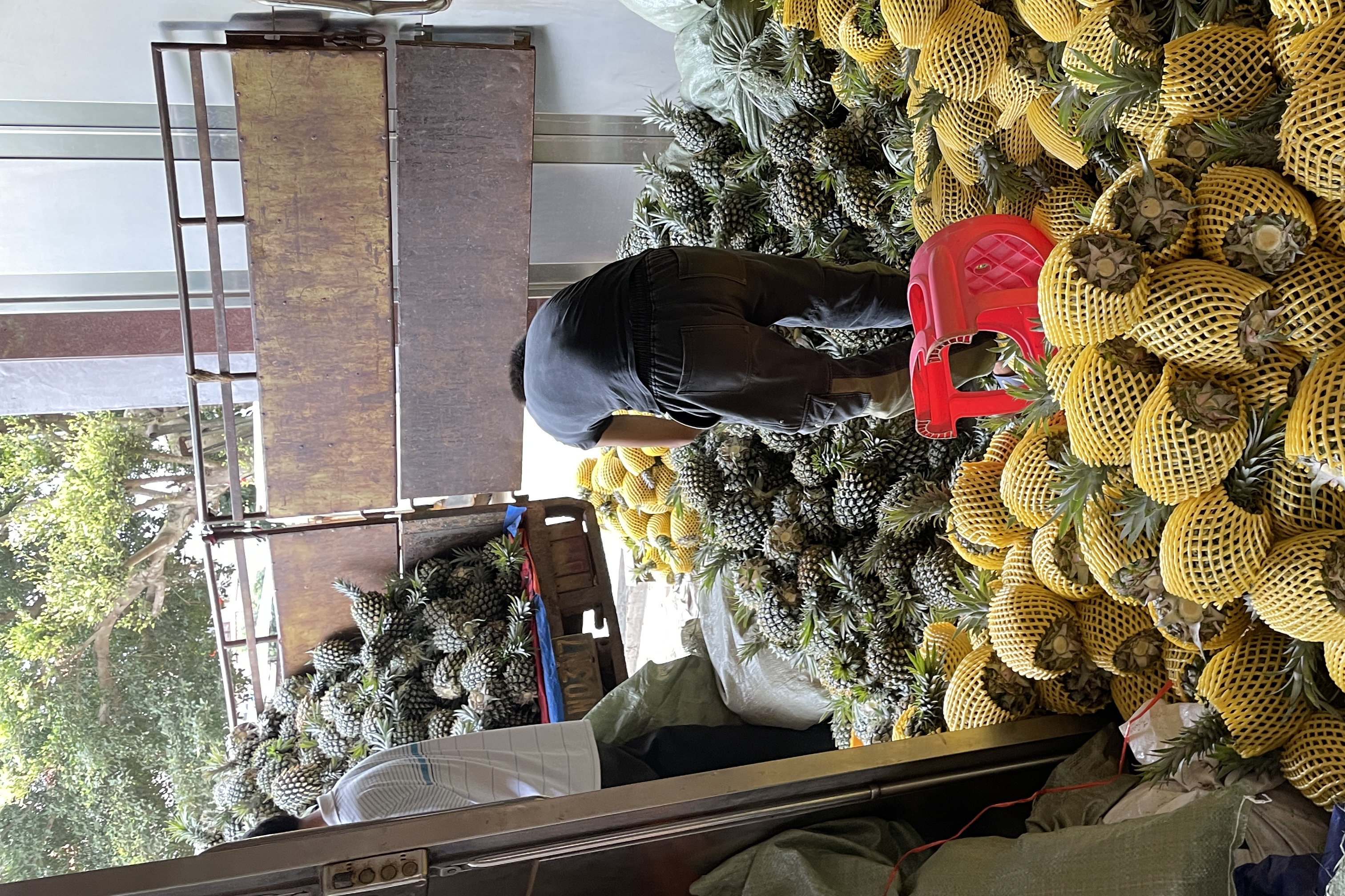 巴厘菠萝果干加工过程展示