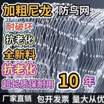 防鸟网樱桃谷子枸杞果园鱼塘青蛙泥鳅聚乙烯尼龙网防鸟专用