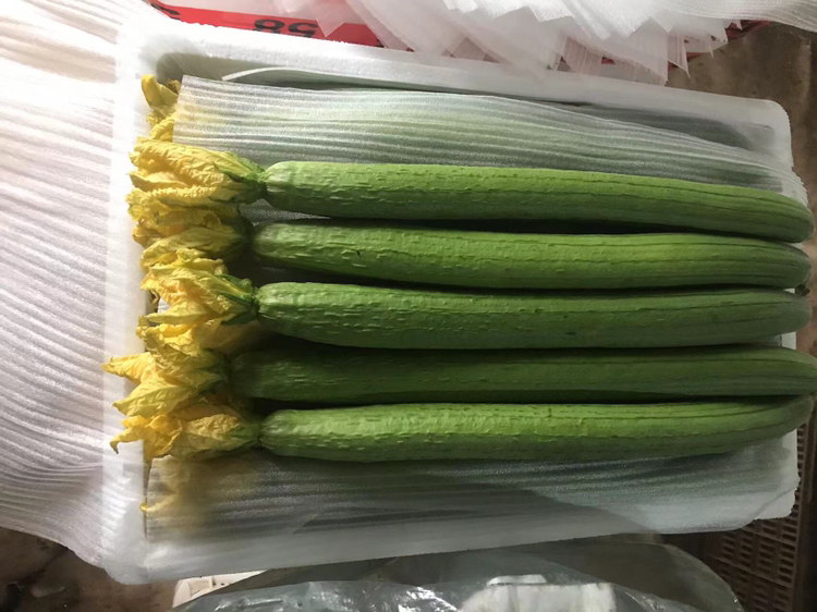 丝瓜蛋汤烹饪过程