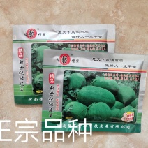 新世纪绿皮王西瓜种子红沙瓤少籽易管理瓜大高产抗病囗感好
