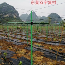 树木支撑大棚立柱葡萄冬爪丝瓜架立杆玻璃纤维管农业包毡玻管