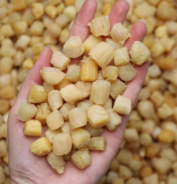 [瑶柱批发]干货批发瑶柱干贝海鲜干货淡干扇贝肉海产品贝类元贝价格