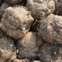 豆腐魔芋，原产地，质量保证，有需要的亲可联系