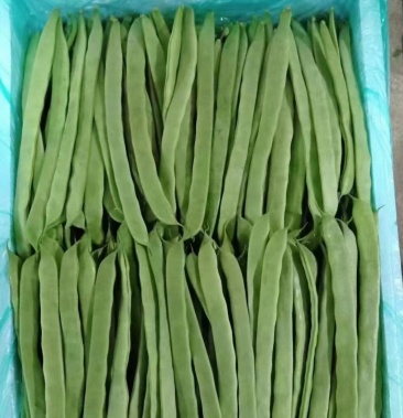 [扁青芸豆批发]福建精品芸豆价格4.00元/斤 - 一亩田