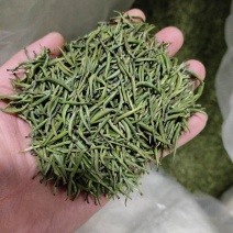 湄潭翠芽
