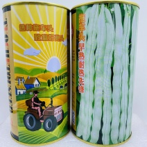高产宽扁芸豆种子三扁二扁芸豆种子四季豆种子无筋架豆种