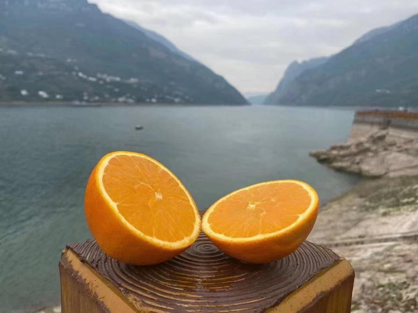 家庭食用场景：红心脐橙的多种健康吃法图解