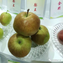 玉露香