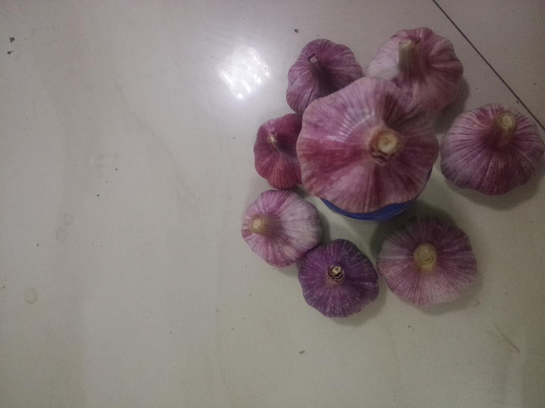 紫皮洋葱和大蒜煮水后的成品图,显示清澈的水溶液和食材残渣 紫皮洋葱和大蒜煮水后的成品图