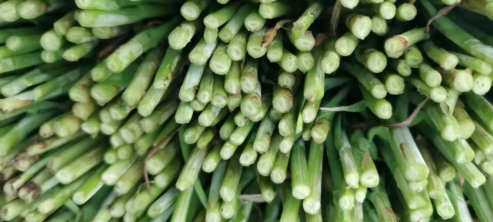 炒好的韭菜成品图