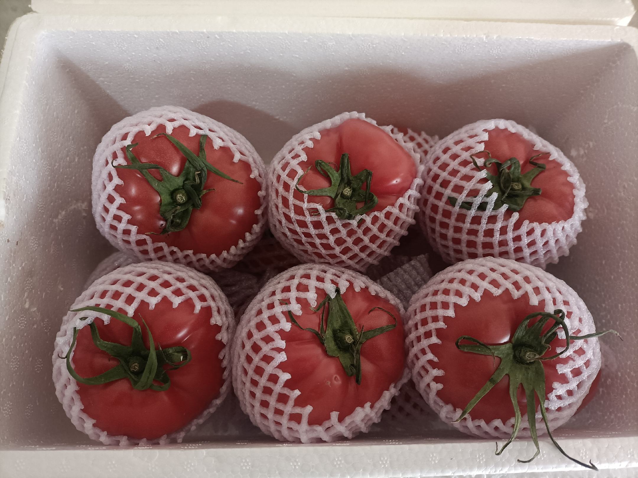 有机认证标签展示