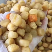 南海瑶柱