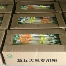 天然新鲜正宗大葱基地直发