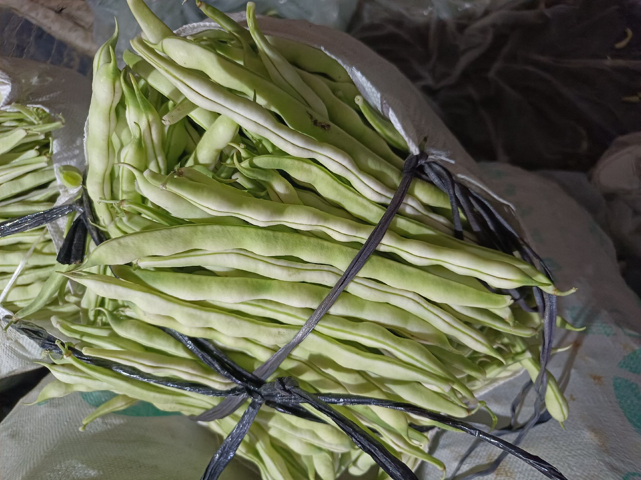 白不老豆角被切段后放入锅中翻炒,锅中热油翻腾,旁边有蒜末和红椒,呈现出色香味俱全的烹饪画面 白不老豆角烹饪过程展示