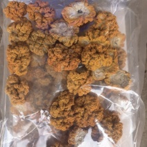 烘干有机金耳