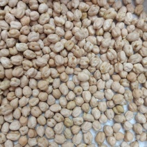 进口鹰嘴豆桃豆鸡豆12mm三色豆大颗粒