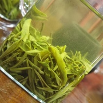 三都白茶
