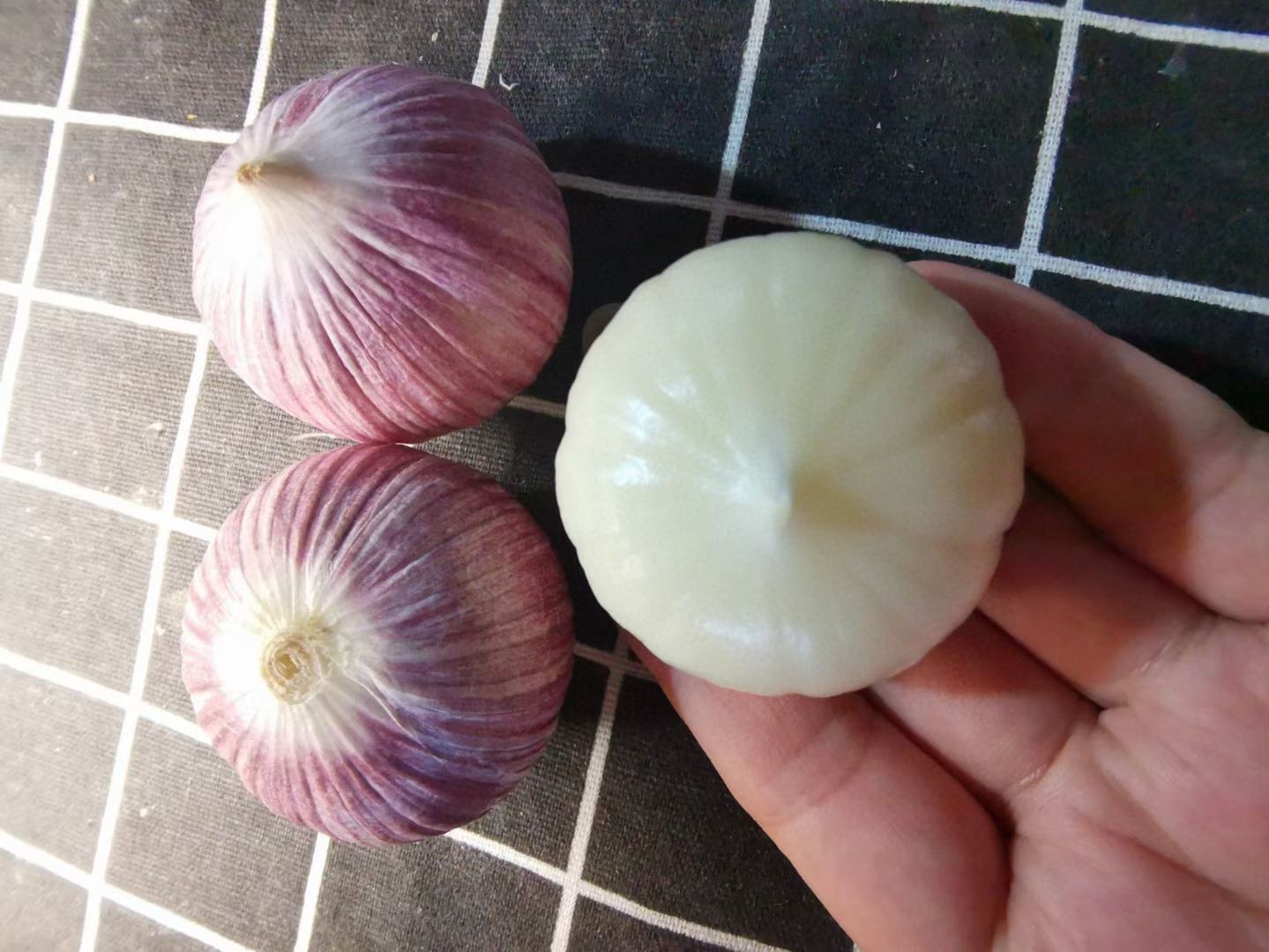 独头蒜特写,展示其完整无瓣的结构和光滑表皮 独头蒜特写