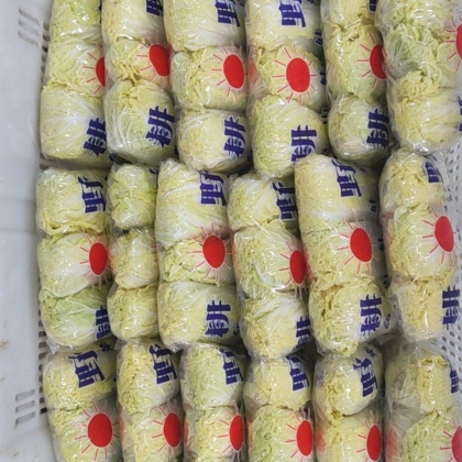 大娃    小娃云南娃娃菜云南娃娃菜大量上市大娃小娃包装运输发灰一