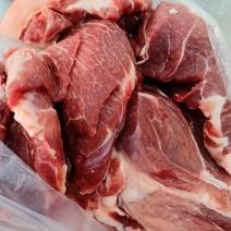 预售精品纯手工福袋馄饨（纯瘦肉制作健康不含油）