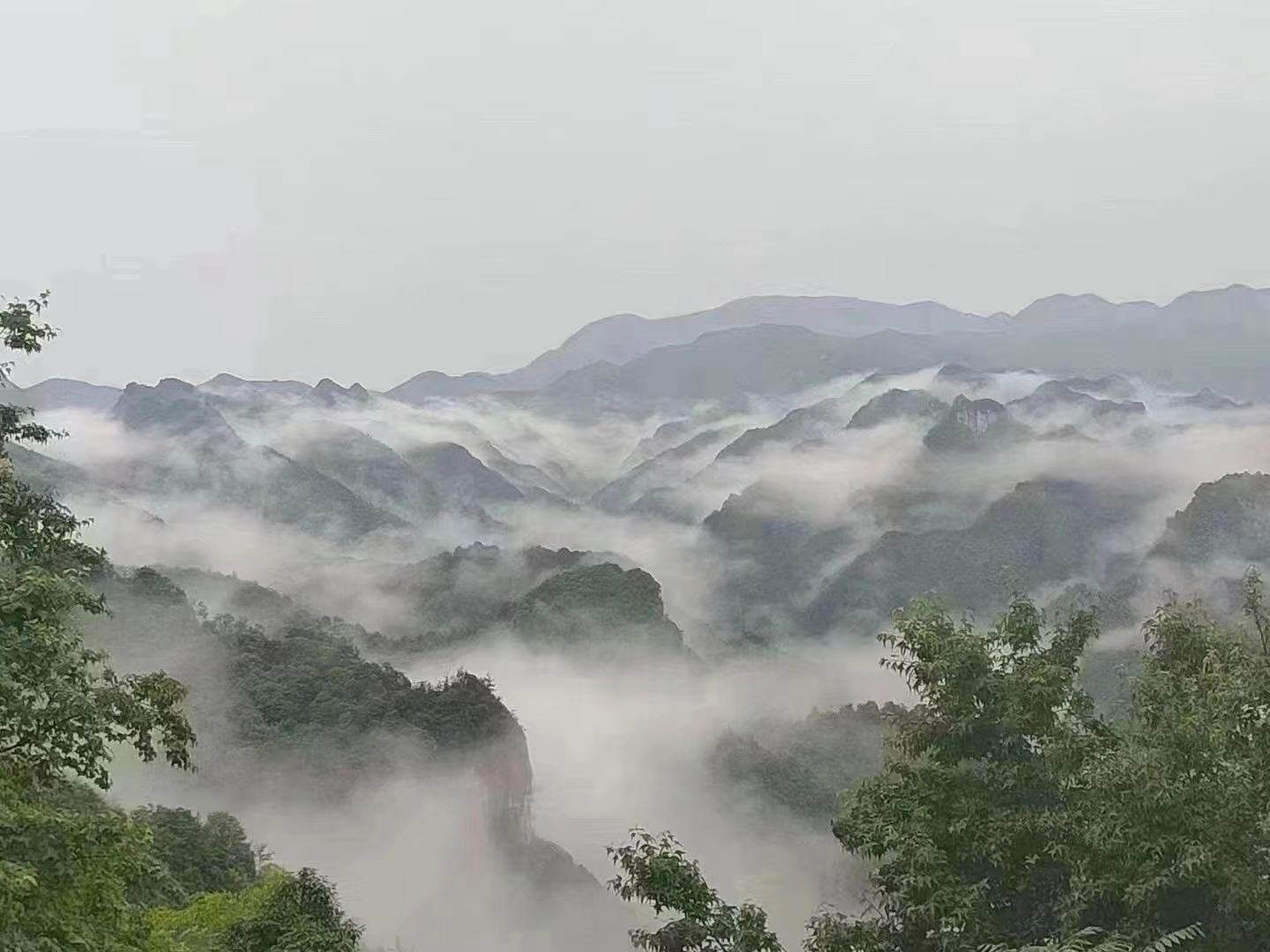 东魁杨梅与云南杨梅产地环境对比图