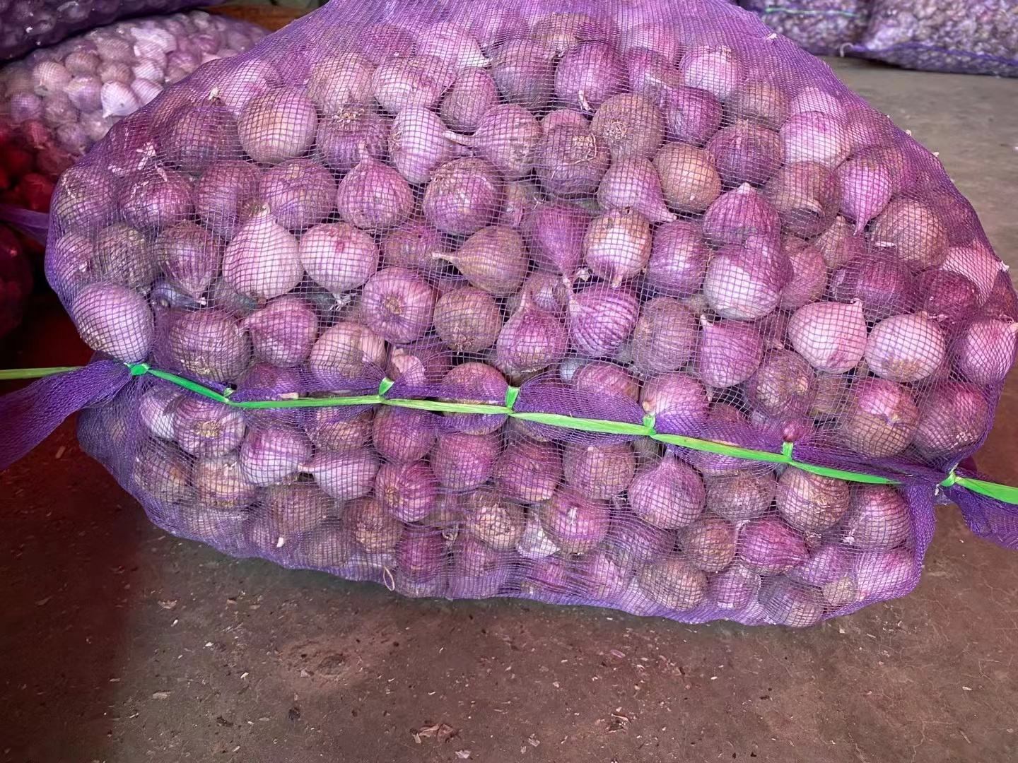 糖尿病患者厨房场景：手部特写正在石臼中捣碎紫皮独头蒜，蒜瓣饱满紫红，石臼内壁附着湿润蒜泥