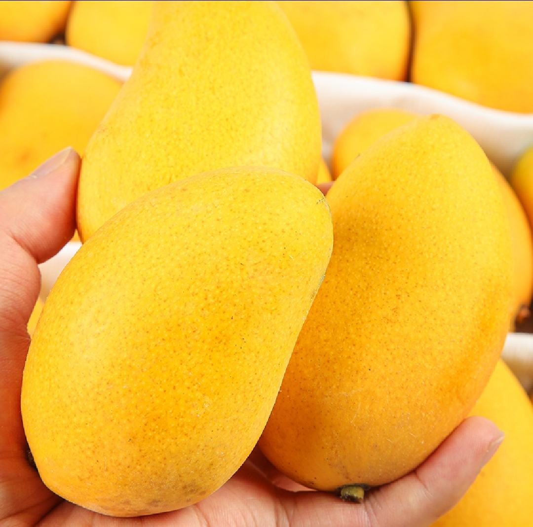 小台芒特写图片