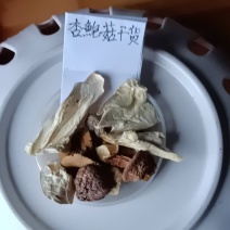 农家自种的杏鲍菇自晒成干货，50O克为—件包邮。
