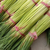 杞县早熟蒜薹