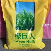 绿巨人甜高粱养殖必备高粱种子甜高梁种子饲用甜高粱牧草种