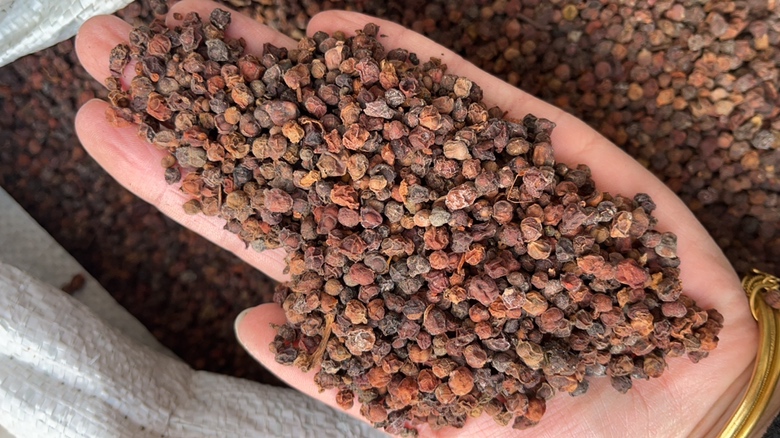 南五味子蒸成品图