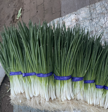 [小葱批发]香葱价格2.50元/斤 - 一亩田